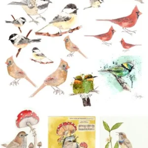 catalog of birds roycycled decoupage paper