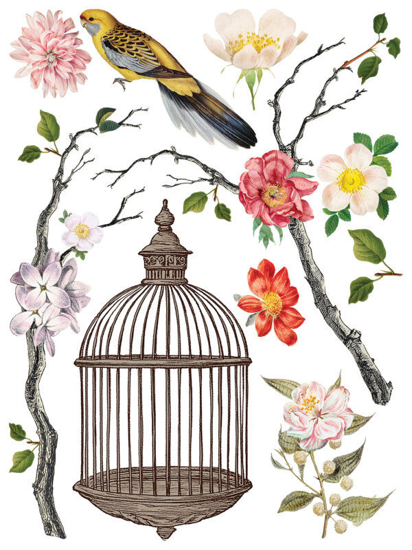 menagerie | IOD transfer - Image 7