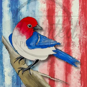 freedom | connie lines & designs | rice paper | A4