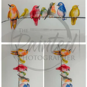 feathered friends multiple | connie lines & designs | rice paper | A4