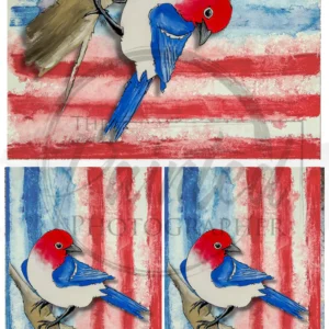 freedom multiple | connie lines & designs | rice paper | A4