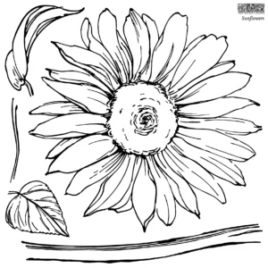sunflowers | IOD stamp