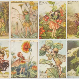 forest fairies | jrv rice paper | A4