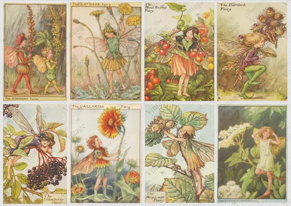 forest fairies | jrv rice paper | A4