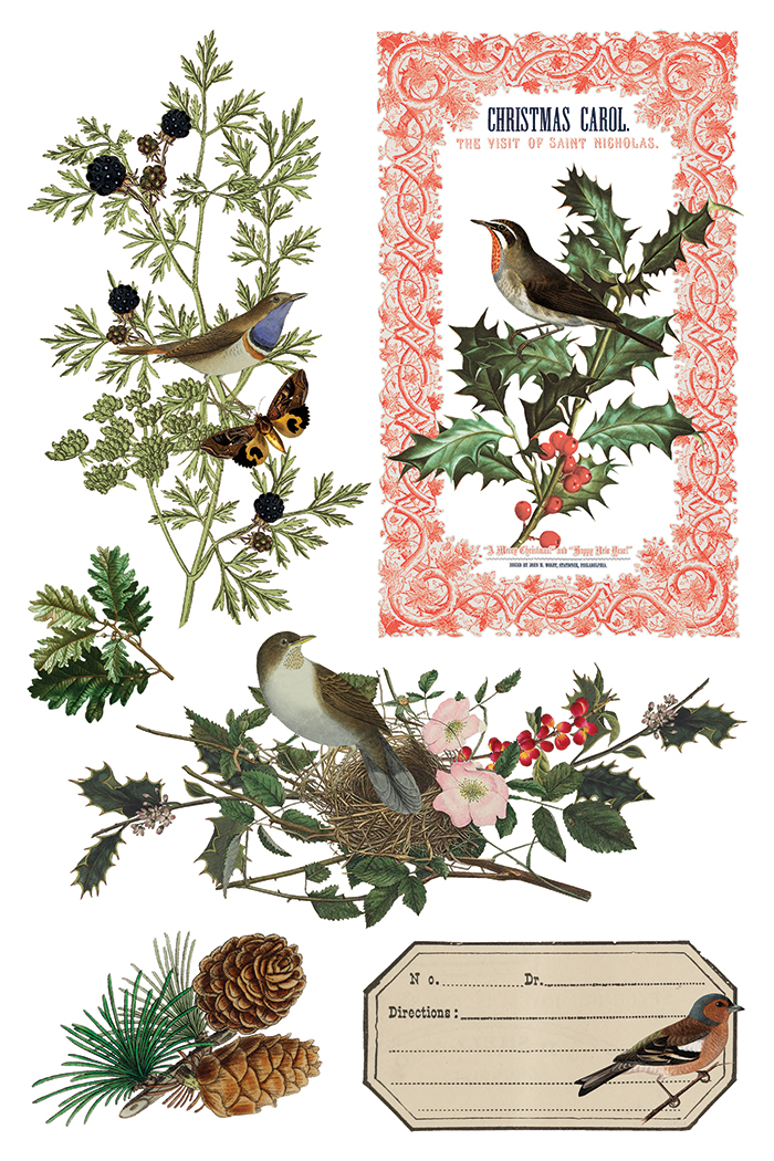 winter botanist | IOD transfer - Image 8