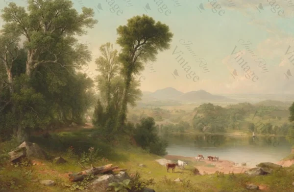 cows in pasture | jrv rice paper | medium size