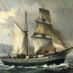 solo at sea | jrv rice paper | medium size