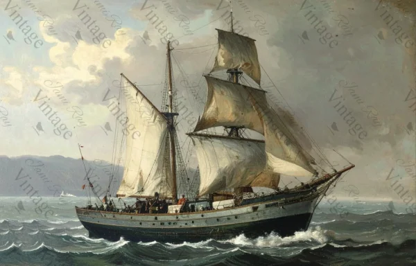 solo at sea | jrv rice paper | medium size