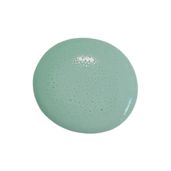 sweet pickins milk paint | birdie