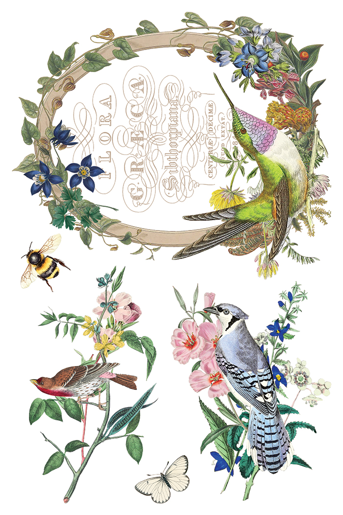 flora greca | IOD transfer - Image 5