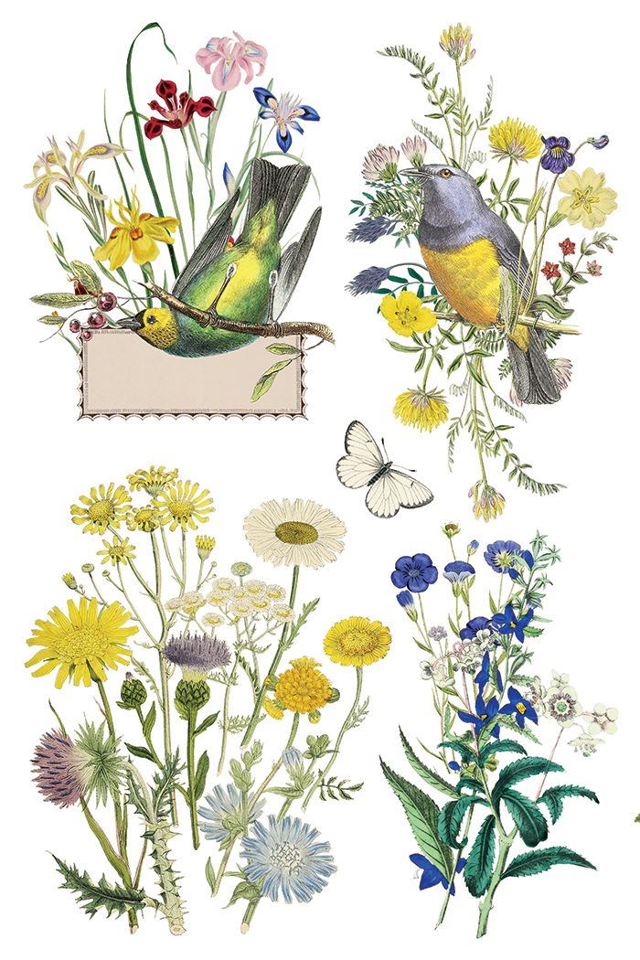 flora greca | IOD transfer - Image 9