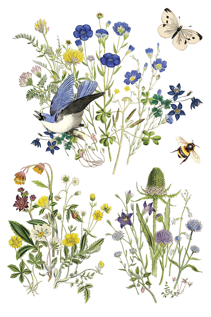 flora greca | IOD transfer - Image 10