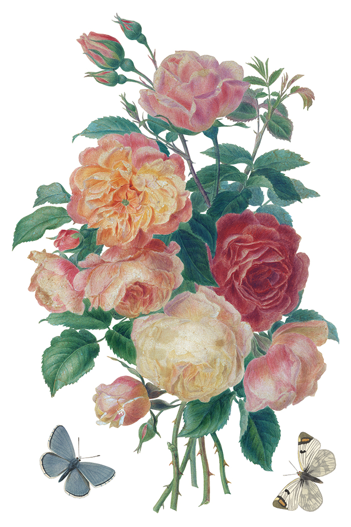 saint ouen | IOD transfer - Image 4