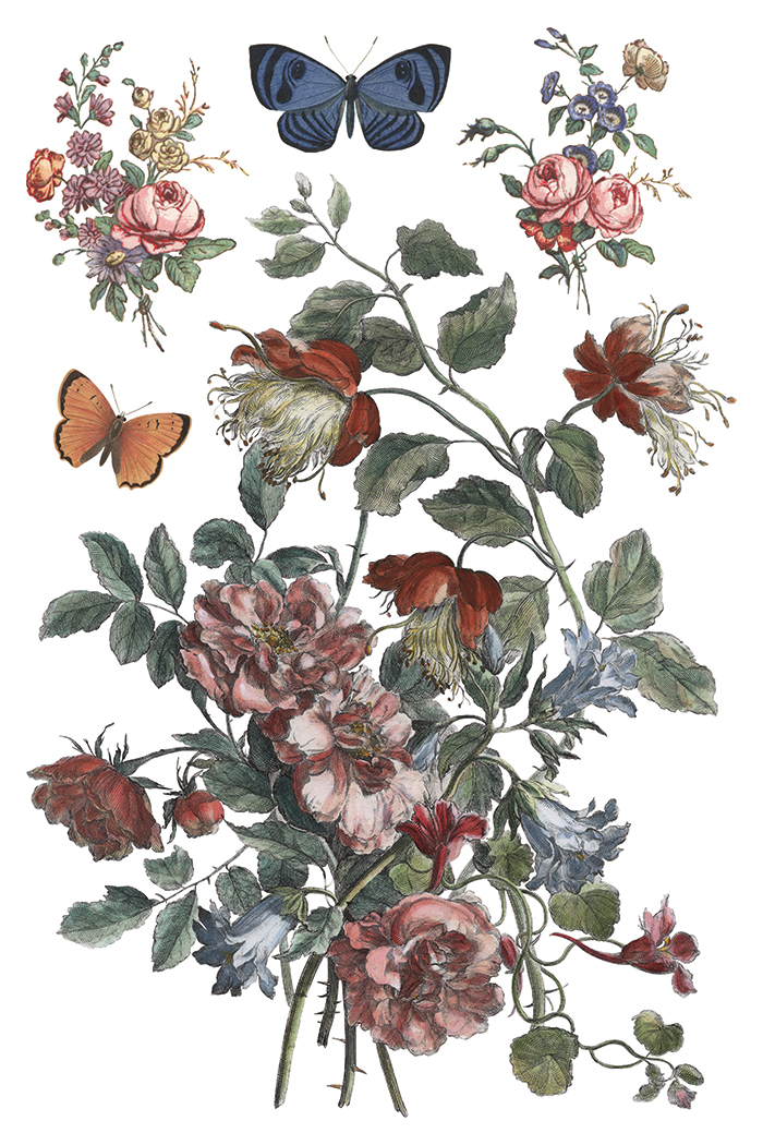 saint ouen | IOD transfer - Image 6