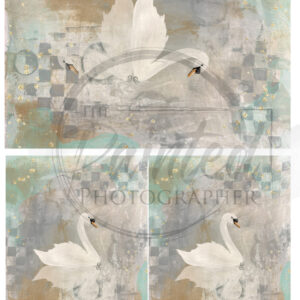 reflections of grace multiple | connie lines & designs | rice paper