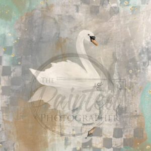 reflections of grace | connie lines & designs | rice paper