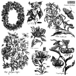 nature's etchings | IOD stamp