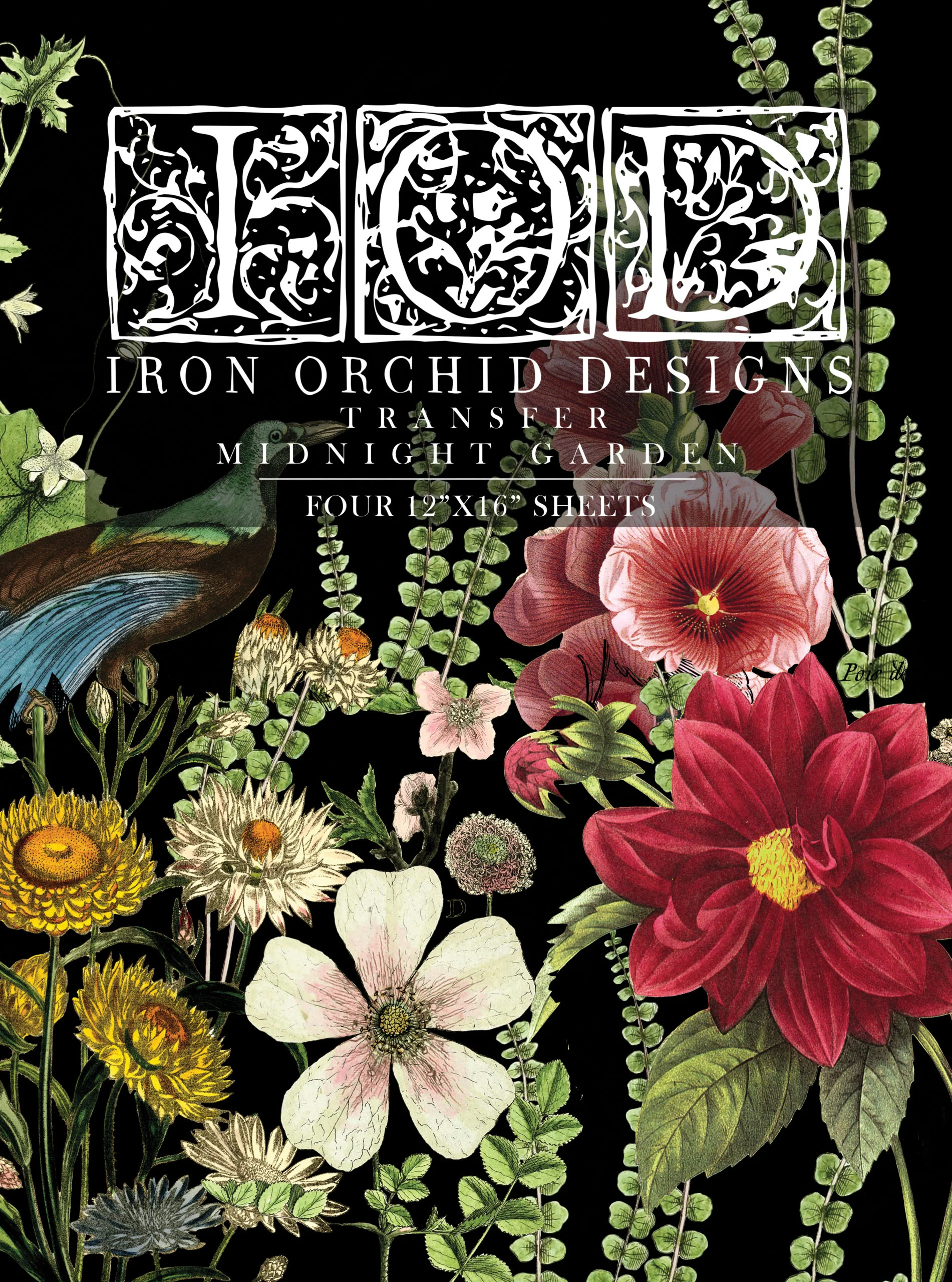 midnight garden | IOD transfer