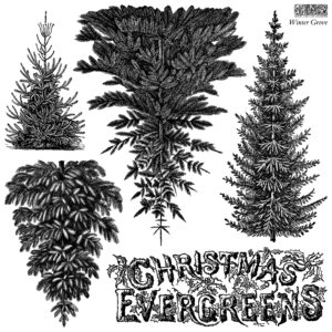 winter grove | IOD stamp