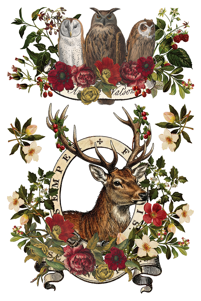 stag tavern | IOD transfer - Image 7