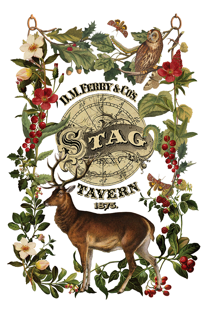 stag tavern | IOD transfer - Image 8