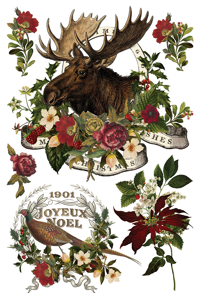 stag tavern | IOD transfer - Image 11
