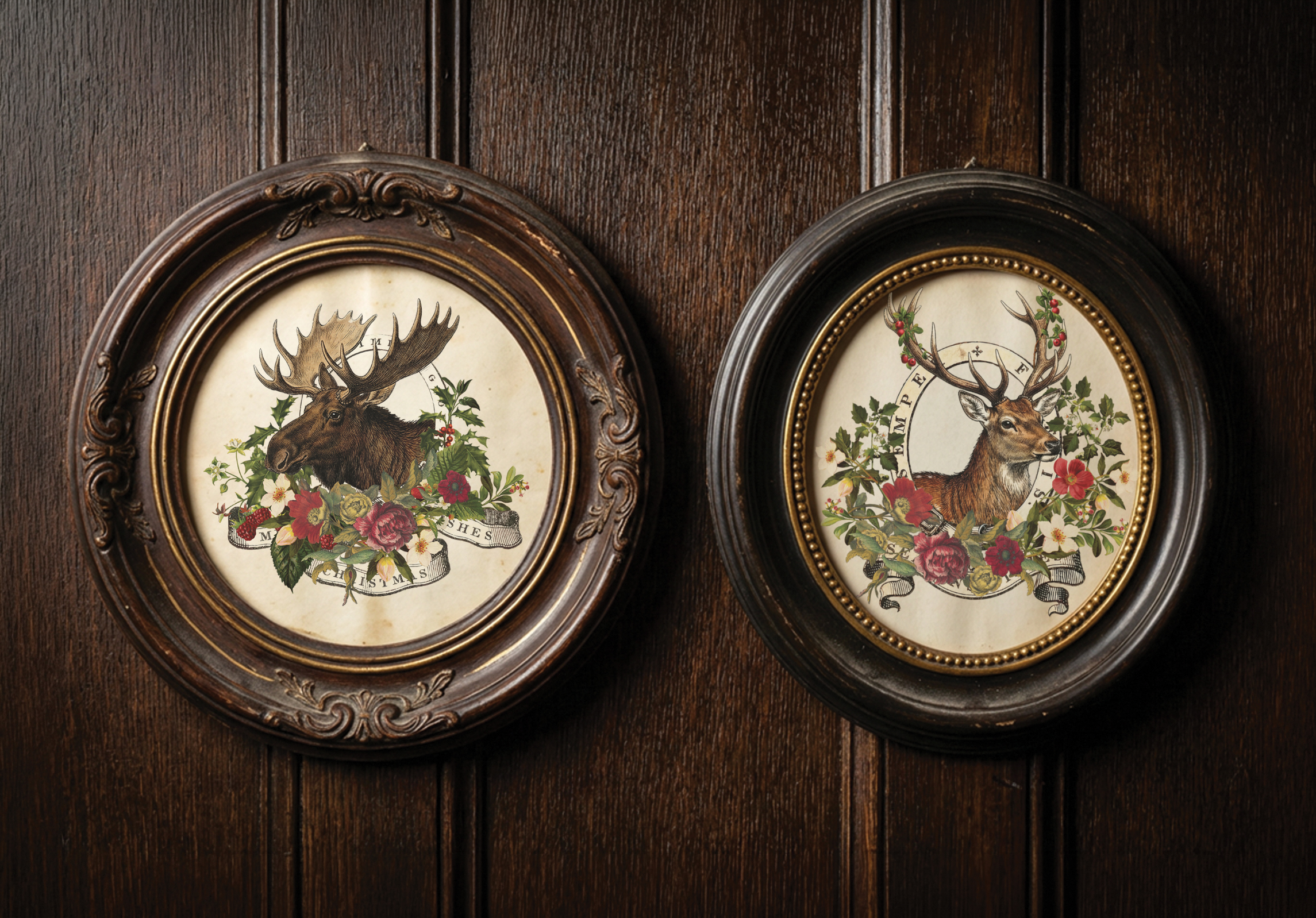 stag tavern | IOD transfer - Image 3