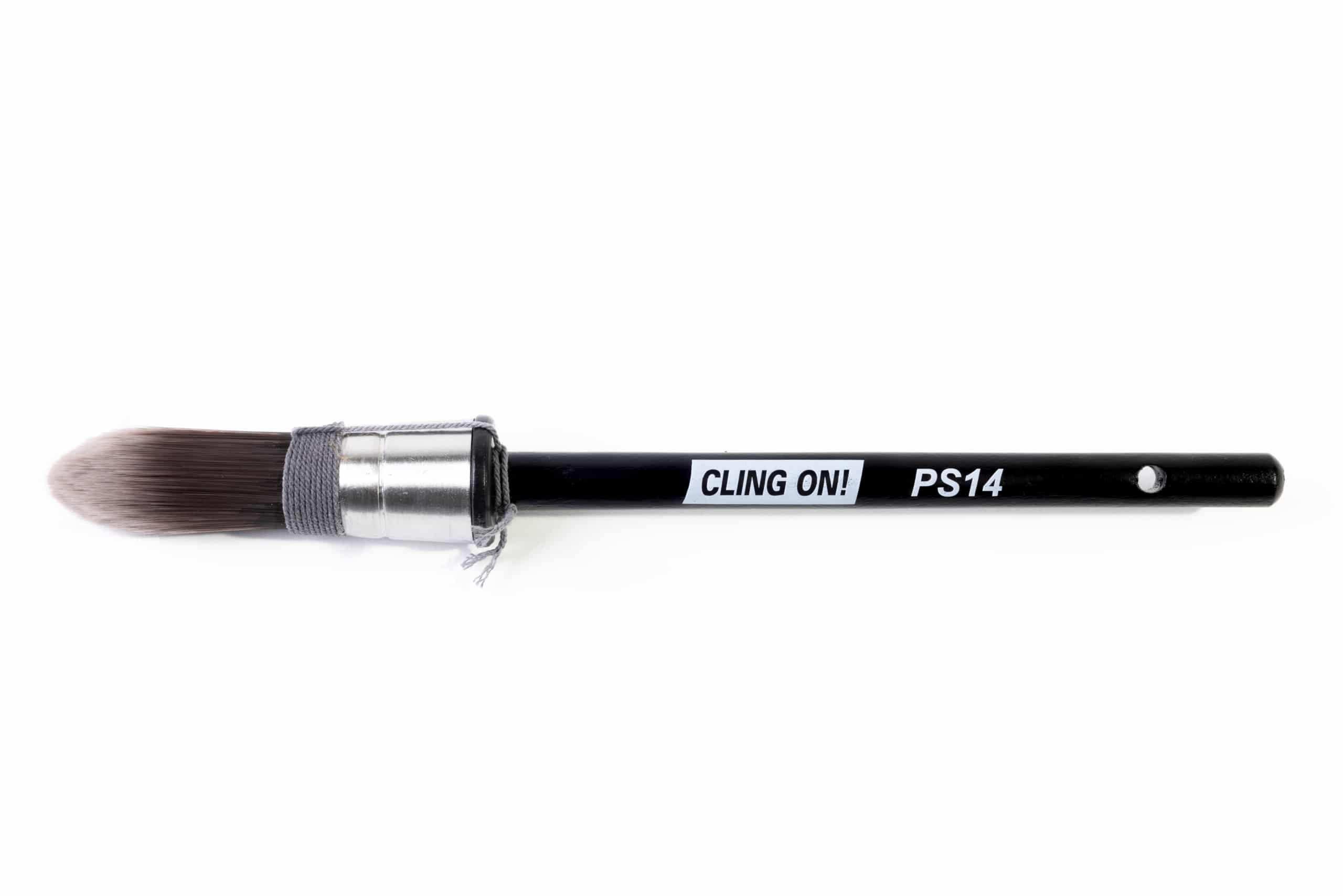 cling on | paintbrush | ps14